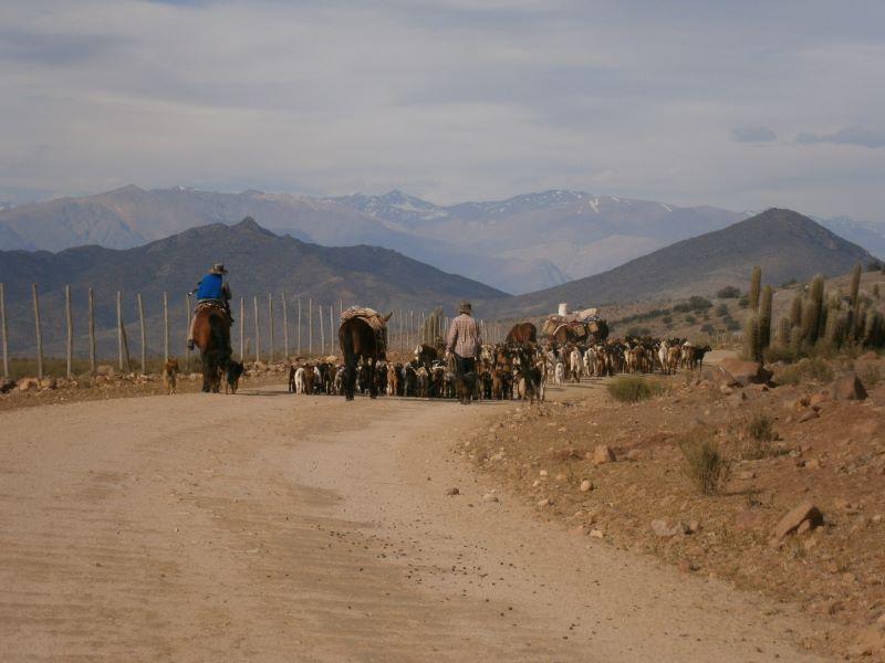 A partir de esta Cátedra se desarrollarán actividades de extensión, investigación y docencia en el ámbito una agricultura campesina sostenible y de la alimentación saludable.