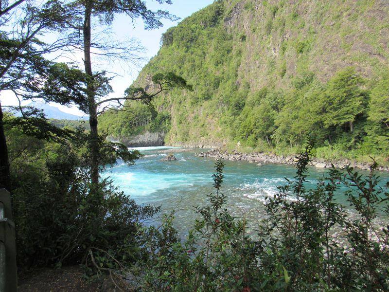 La protección de los bosques mejorará la capacidad de los ecosistemas para retener agua.