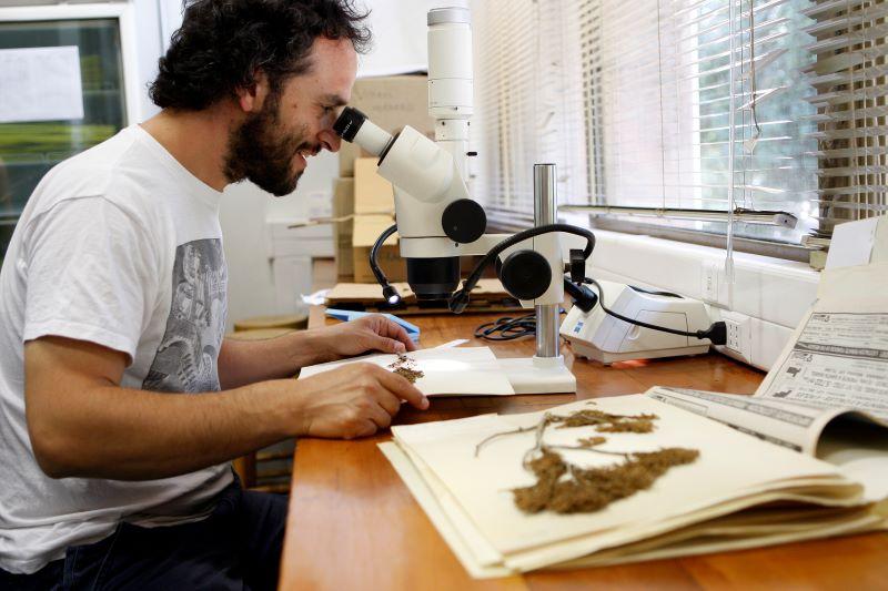 Profesor Nicolás García, académico de la Facultad de Ciencias Forestales y de la Conservación de la Naturaleza (CFCN) 