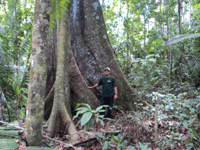 Renzo Solari, Ingeniero Forestal de la Universidad de Chile.