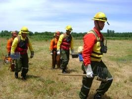 CONAF  realiza de manera permanente destacadas labores para recuperar hectáreas en zonas claves