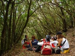 La educación ambiental no tiene nada que hacer en términos de su efectividad si sus estrategias no razonan con valores que ya están en las personas. 