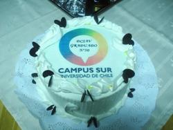 Carlos Valdovinos fue el candidato y graduado nº 50 del doctorado de Campus Sur.