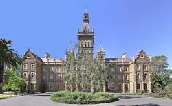 Cynamon está realizando su Doctorado en la Universidad de Melbourne, Australia (en la foto),  trabajando en el Laboratorio de Ecología Urbana.