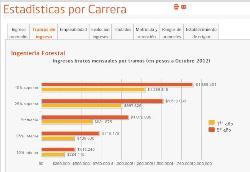 Los tramos de ingresos son una medida que muestra las diferencias de ingresos en una determinada carrera. Por ejemplo, el rango de 10% superior indica que un 10% de los titulados de esta carrera gana 