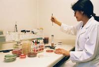 "Es fundamental contar con profesionales especializados en alimentos, de ahí la importancia de este Doctorado"
