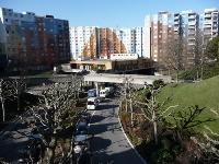 Las ciudades del mundo se han planteado políticas de infraestructura verde con el propósito de mejorar la calidad de vida.