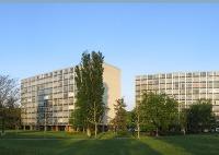 La infraestructura verde permite la captura de contaminantes ambientales. Se han comprobado los beneficios de contar con grandes superficies verdes en las urbes.