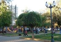 Según los especialistas es posible revertir la situación de contaminación con una planificación de infraestructura verde en Santiago.