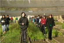 Junto a la Profesora Karen Peña recorrieron las dependencias  de la Facultad, en la fotografía los jóvenes visitan el vivero donde hay diversas especies de flora. 