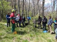 Jóvenes ingenieros forestales de la UPM han iniciado actividades profesionales relacionadas dirigidas al balance y fijación del carbono.