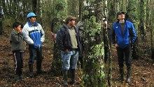 Las autoras destacan la importancia de trabajar con las comunidades ante cualquier proyecto que implique la extracción de biomasa forestal para fines energéticos.