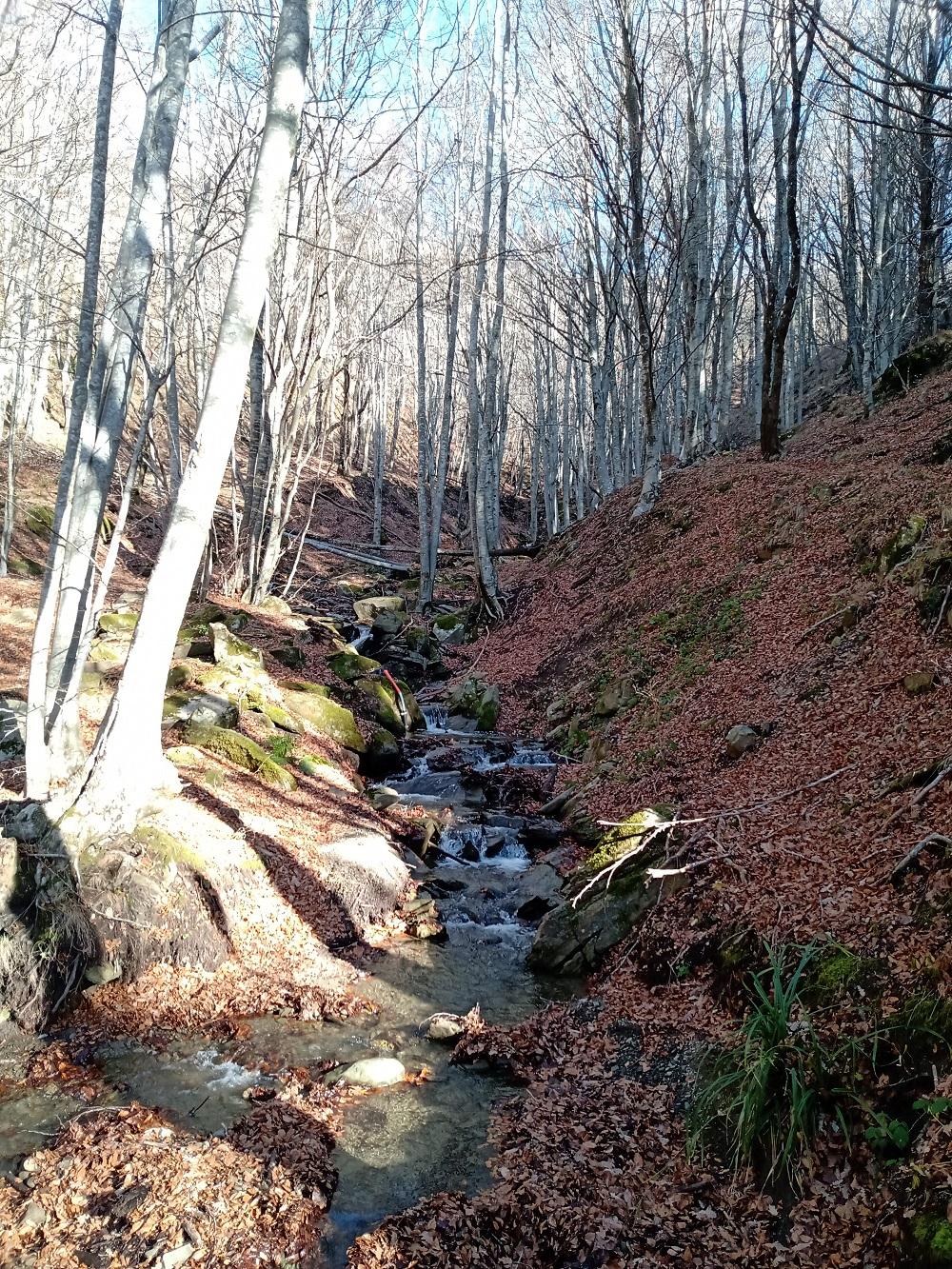 La cuenca Re della Pietra está ubicada en los montes Apeninos de la región de Toscana (Italia).