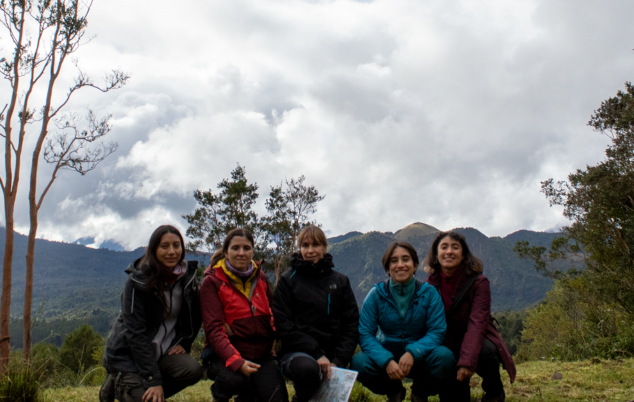 En mayo pasado, la Dra. Patricia Larrea (de rojo), se internó en la zona con la Dra. Laura Becerril (U. de O'higgins), la estudiante de doctorado Déborah Cáceres (U. de Chile) y las estudiantes de magíster Débora Morales (U. de Chile) y María Camila Puentes (U. de O'higgins).