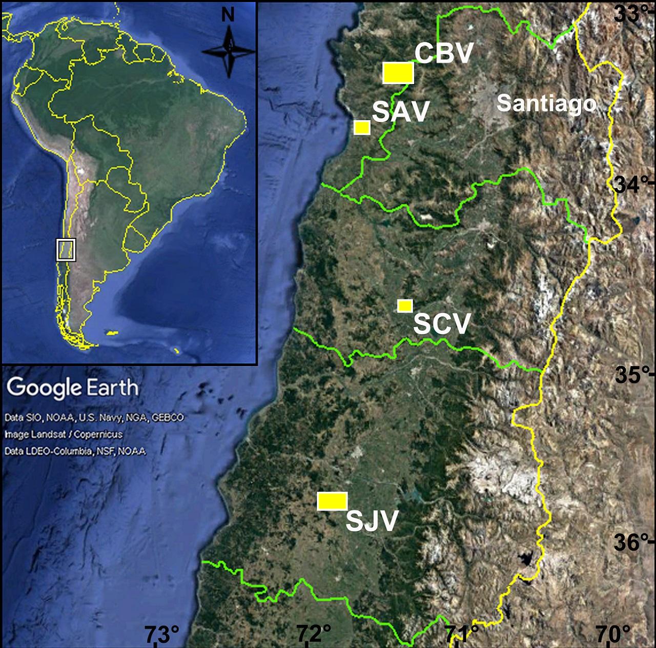Mapa viñedos minerales