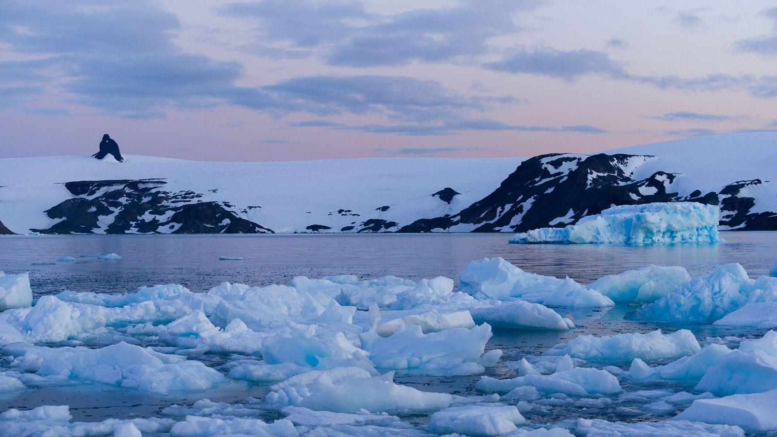 SCAR-OCS 2024 es importante porque abre el espacio para discutir cuestiones críticas, como la crisis climática y sus impactos globales en los ecosistemas.