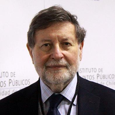 Hugo Frühling, Director del Instituto de Asuntos Públicos de la Universidad de Chile