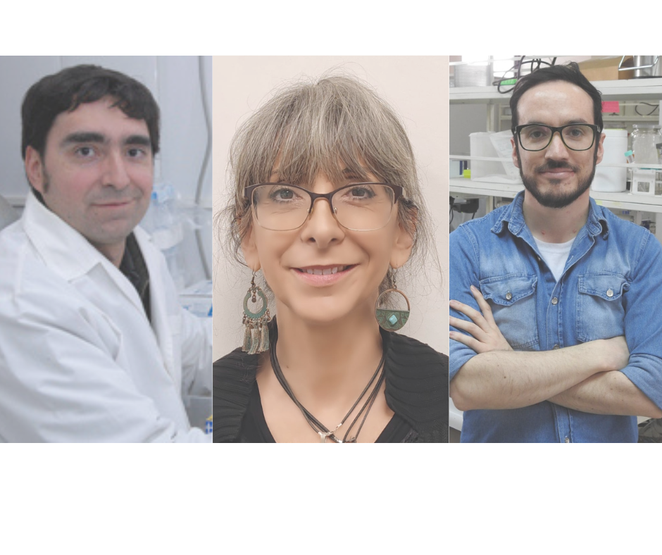 profes ICBM ganadores por escuela