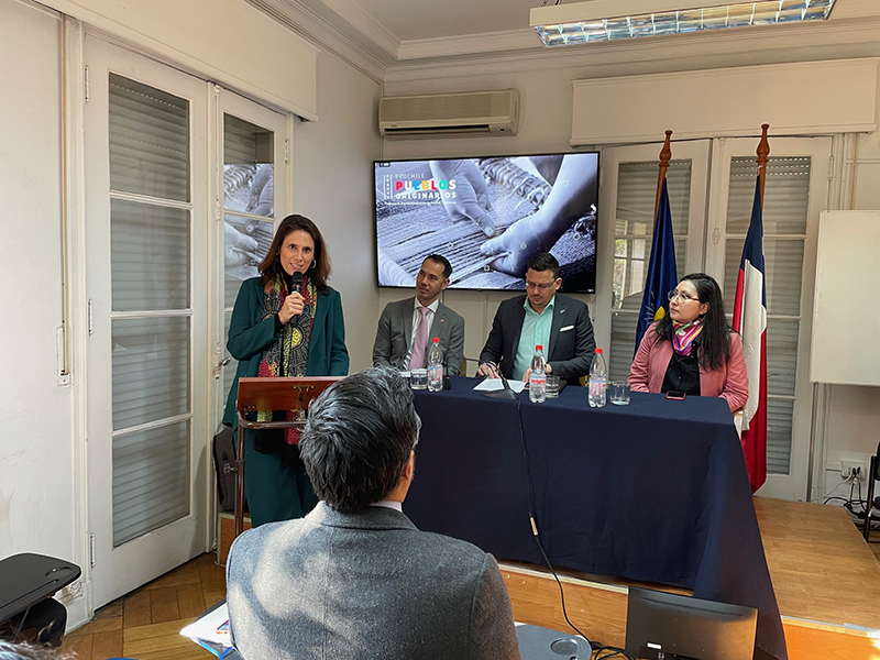 La Directora del IEI, prof. Dorotea López Giral, dio la bienvenida a los panelistas y asistentes al primer seminario de este ciclo.