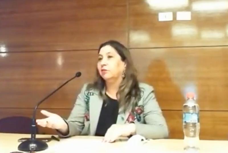 Académica del IEI, prof. Paz Milet.