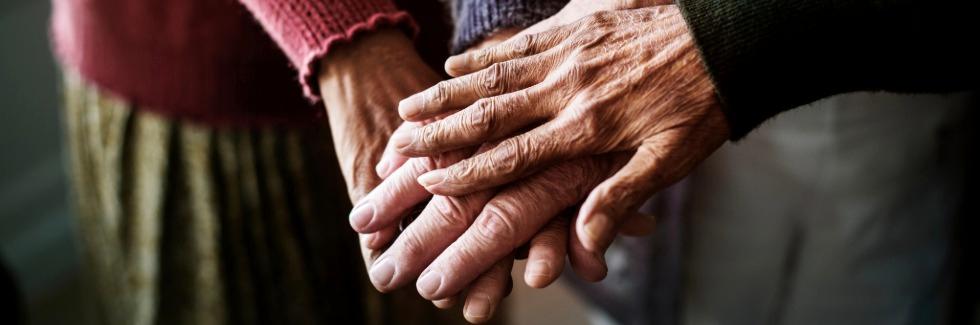 Doctorado en Envejecimiento