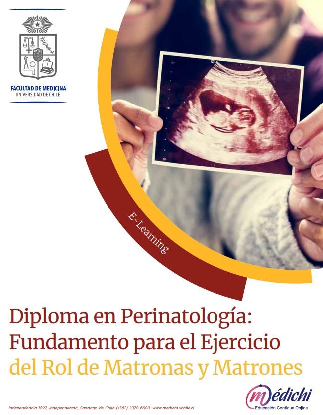 Perinatología: Fundamento para el ejercicio del rol de matronas y matrones