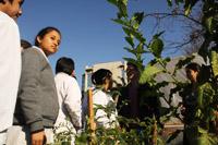 Visita Colegio John Paul School