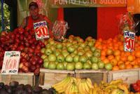 Odontología instaló Punto Feria Saludable