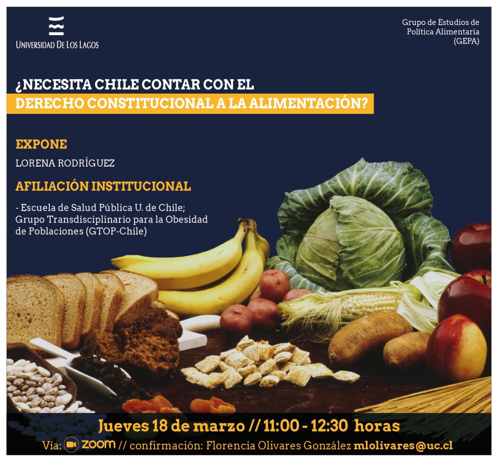 Necesita Chile contar con el derecho constitucional a la alimentación?