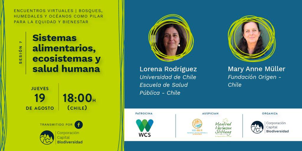 Sistemas alimentarios, ecosistemas y salud humana