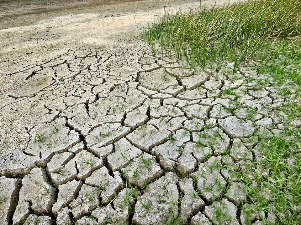 Cambio Climático