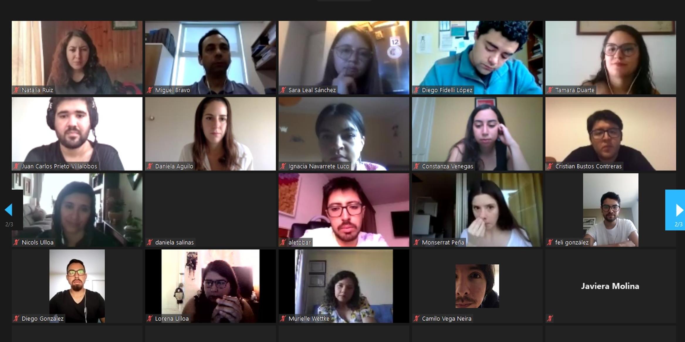 Los profesionales provienen de cuidades tan diversas como Iquique, Los Vilos, Santiago, Rancagua, Tomé, Concepción y Cochamó.