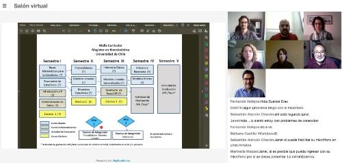 Inicio del año académico en el Magíster en Bioestadística, marzo 2021 formato online.