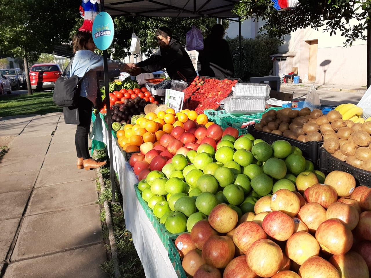 Se reconoce a las ferias libres como espacios tradicionales de venta que deben ser protegidas y apoyadas por las autoridades políticas y por regulaciones ad-hoc.