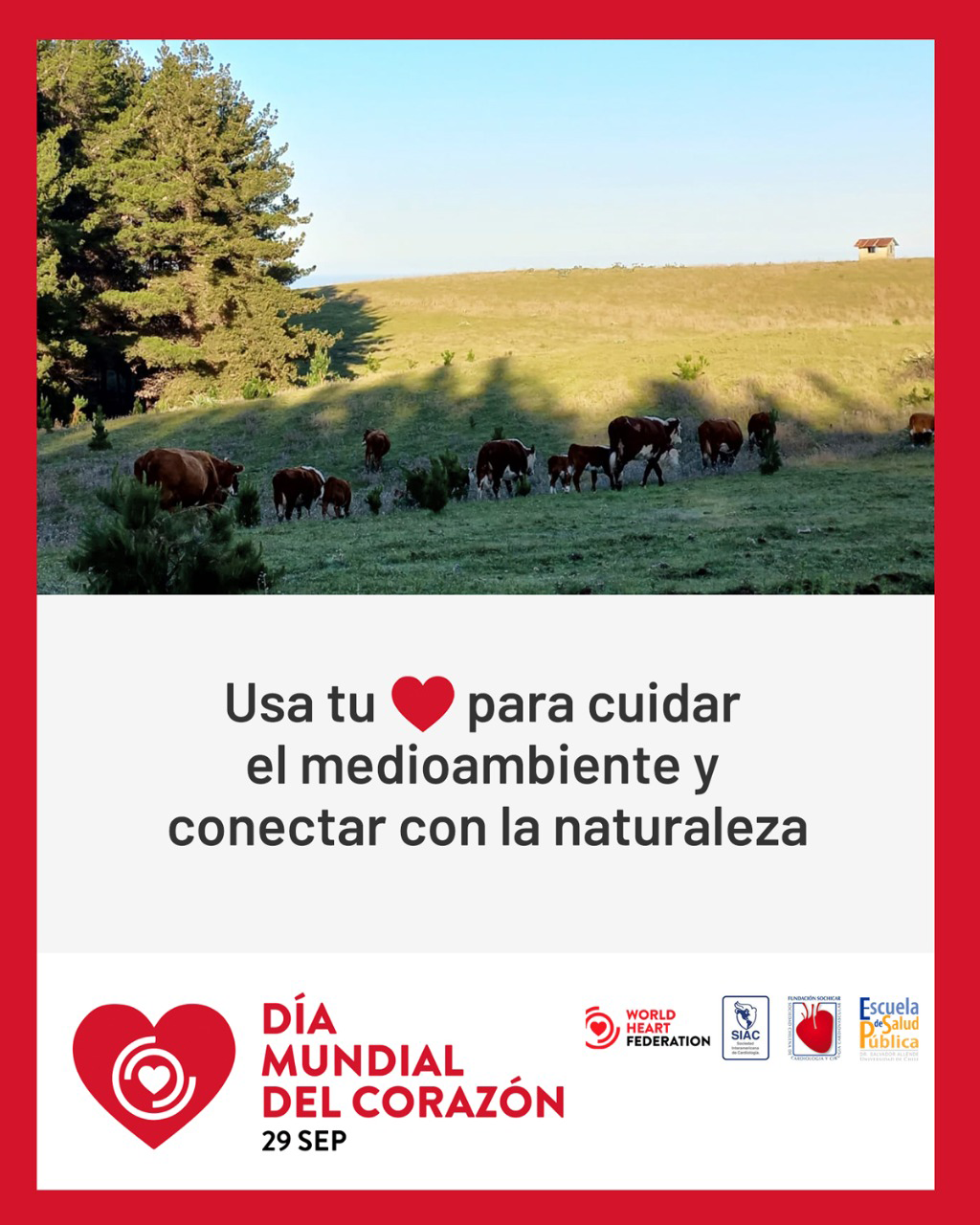 Usa tu corazón para cuidar el medio ambiente y conectar con la naturaleza.