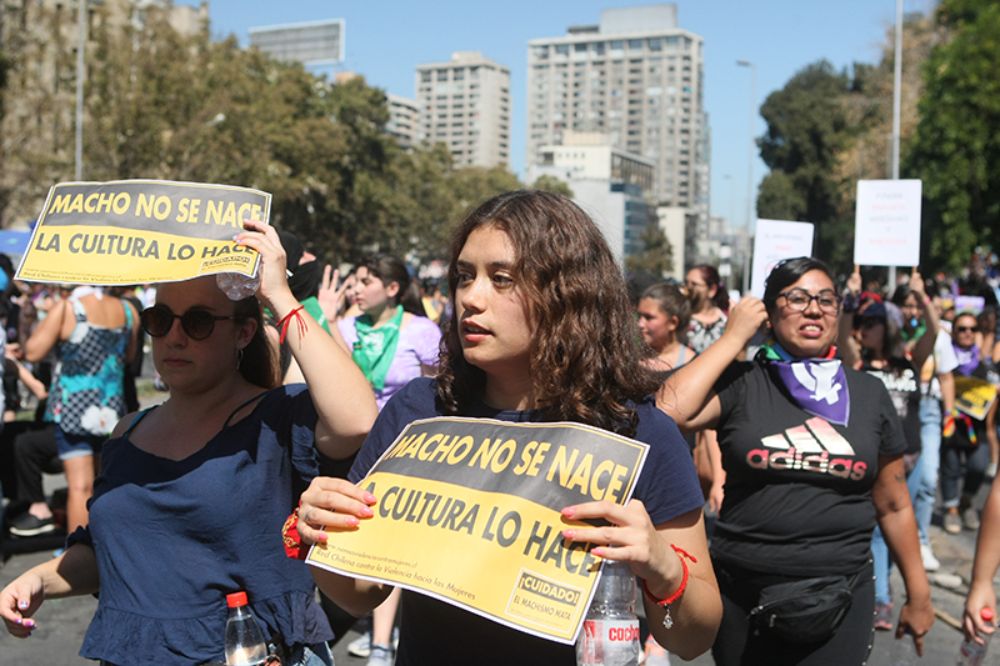 De acuerdo a las organizadoras, este material busca ser una lectura política del momento político actual. En ese sentido, busca contribuir a tener una noción de cuál es la situación que viven actualmente mujeres y niñas en Chile