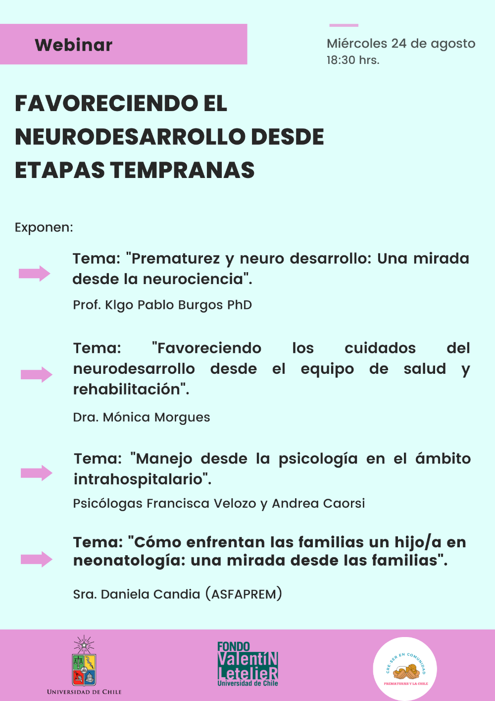 Webinar "Favoreciendo el neurodesarrollo desde etapas tempranas" de proyecto FVL