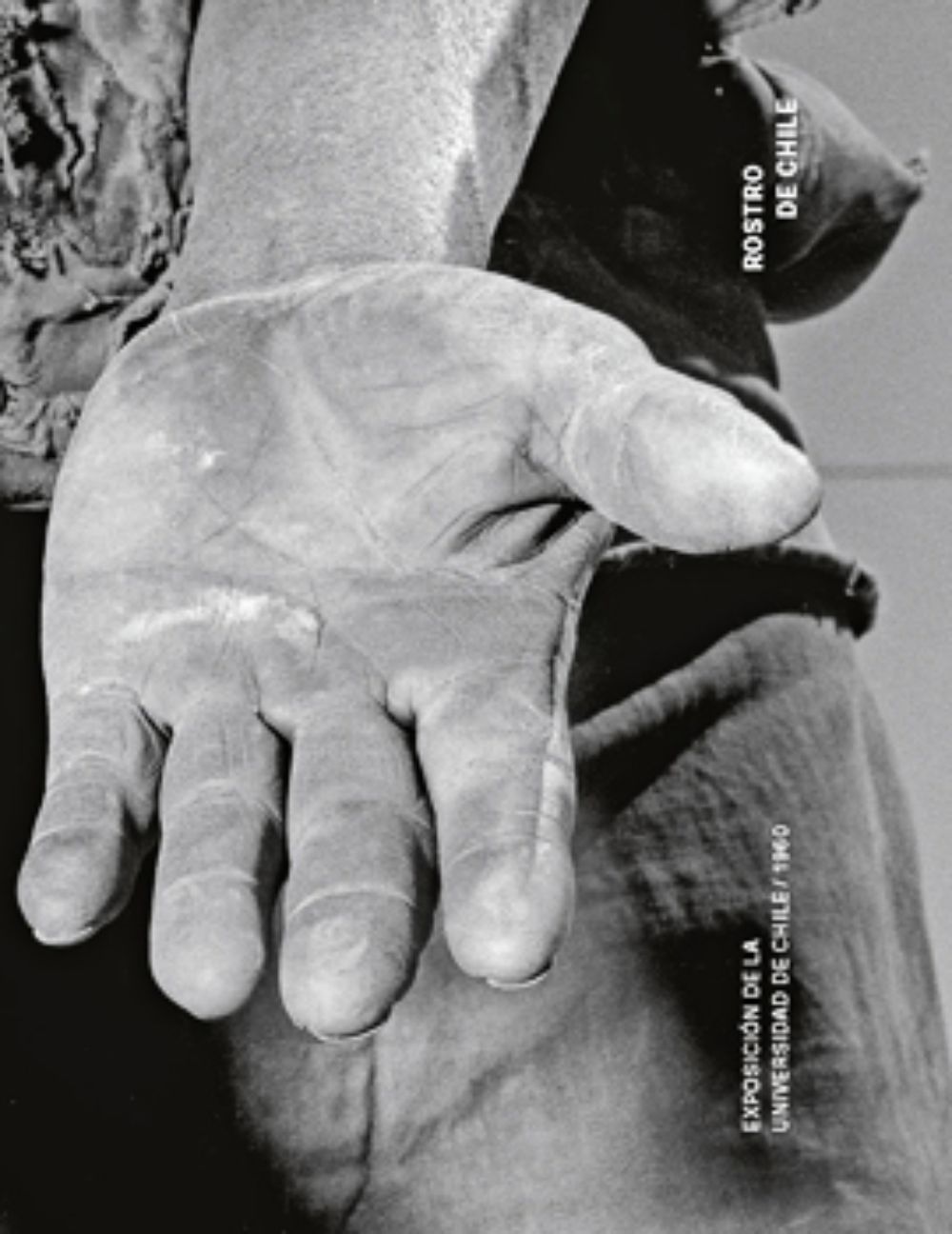 Rostro de Chile: Exposición de la Universidad de Chile. 1960 (2022)