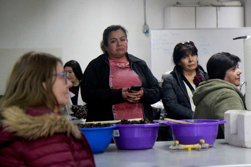 Rescatando conocimientos culinarios y territoriales ancestrales, la segunda jornada de aprendizaje exploró nuevas metodologías de innovación.