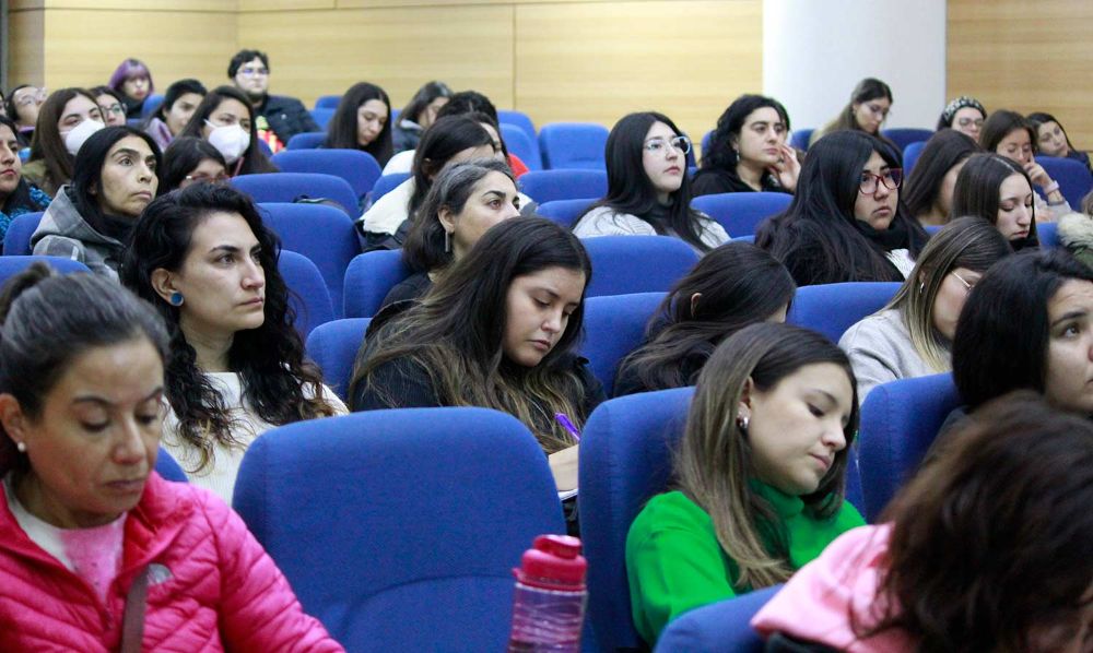 Esta edición tuvo como objetivo convocar proyectos que potencien las relaciones con las comunidades y los gobiernos locales de los sectores más apartados del centro de la Región Metropolitana.