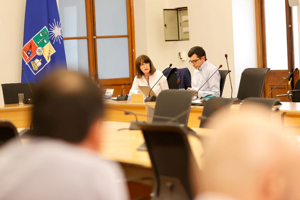 Durante este 2024 se trabajará fuertemente en elaborar en conjunto una autoevaluación que muestre nuestros avances y desafíos