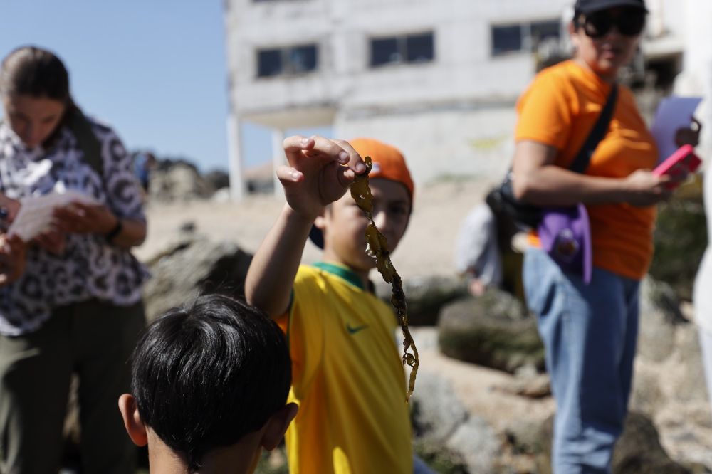niñas y niños se tomaron la playa en el taller para infancias "Alga viva: un recorrido intermareal hasta el laboratorio de algas"