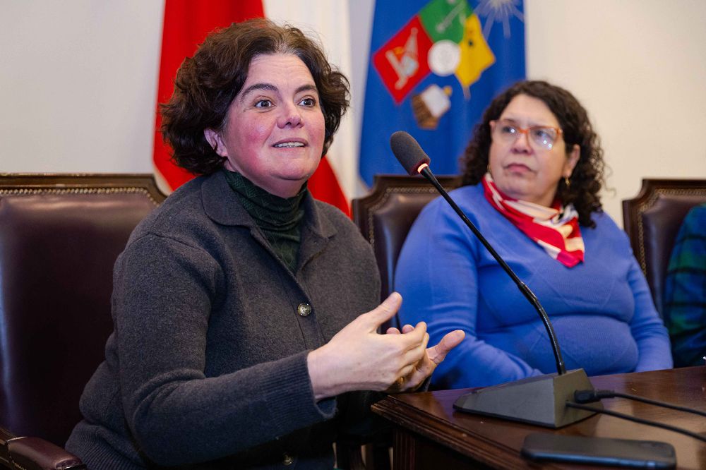 La profesora Ximena Póo indicó que hay que pensar sobre todo en cómo se configuran las salas de redacción: "Especialmente las de medios hegemónicos".