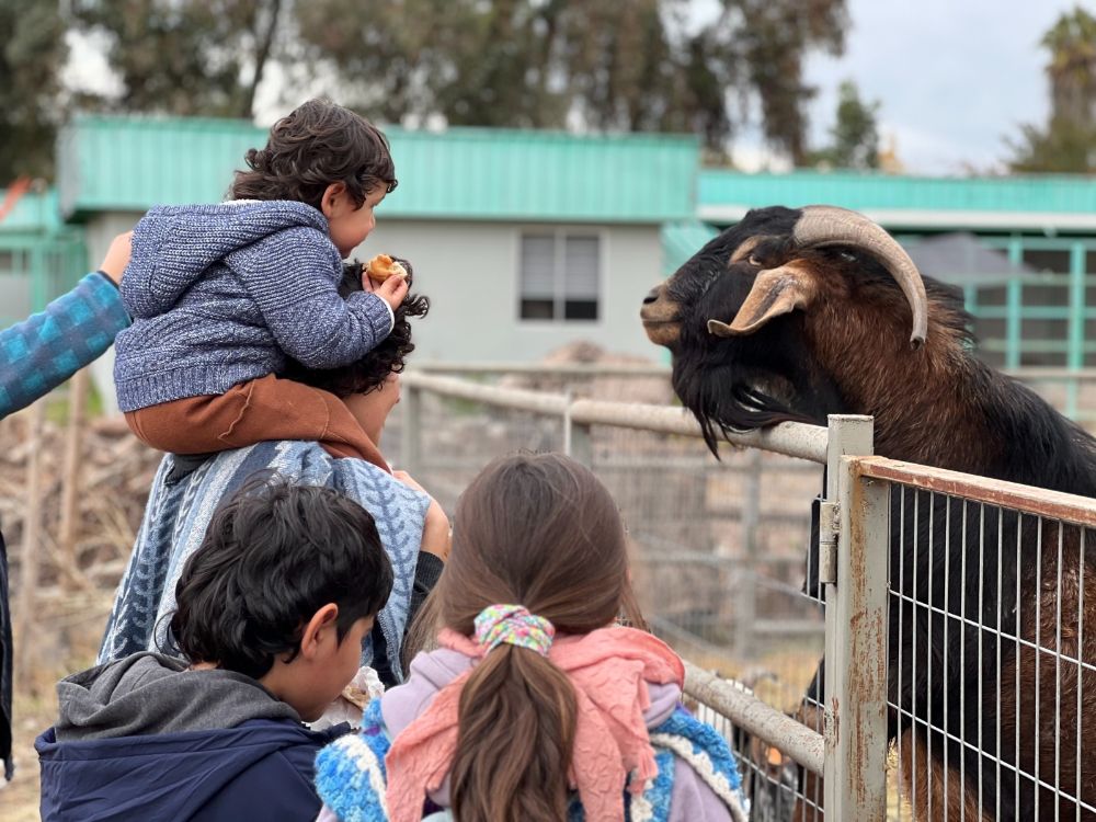 El equipo de Mundo Granja hizo un entretenido taller de lombricultura y visitas guiadas para conocer los animales que también forman parte del patrimonio de nuestro país.