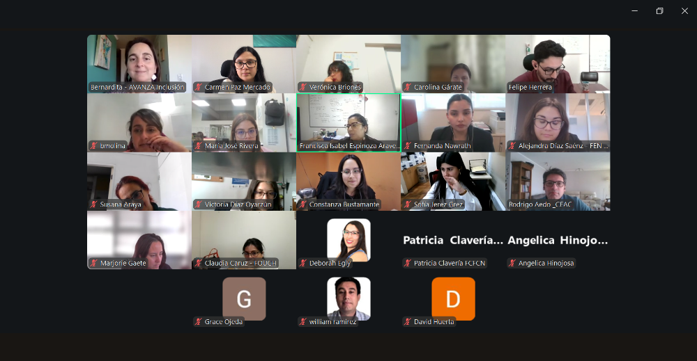 captura de pantalla de una de las sesiones del curso en la que aparecen los participantes y la relatora
