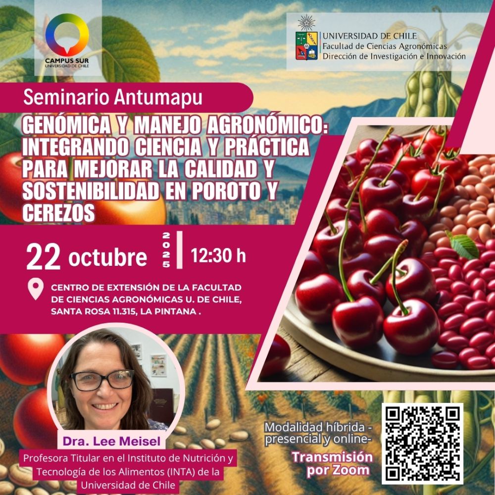 SEMINARIO DE INVESTIGACIÓN ANTUMAPU 2025