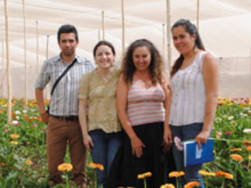 Visita a campo de producción, Valle de Azapa. De izquierda a derecha. Danilo Aros (Profesor U. de Chile), Sofía Boza (Profesor U. de Chile), Sra. Marcela Riquelme (Agricultora INDAP), Karina Orellana 