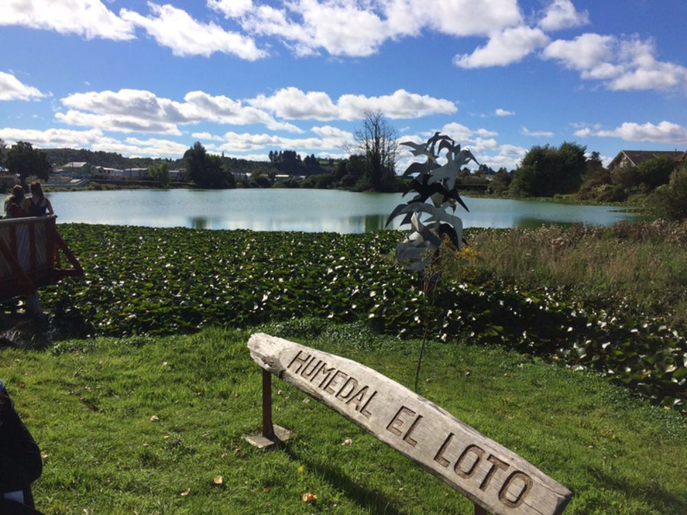 La ciudad de Llanquihue además de ser el polo industrial histórico está conformada por una red de humedales.