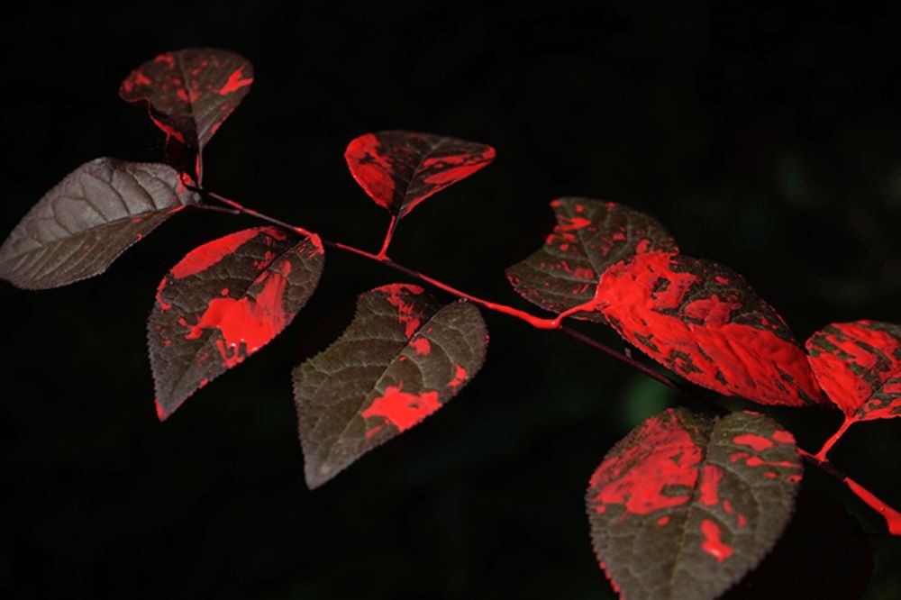 Exposición "De los fuegos" de Iñaki Uribarri