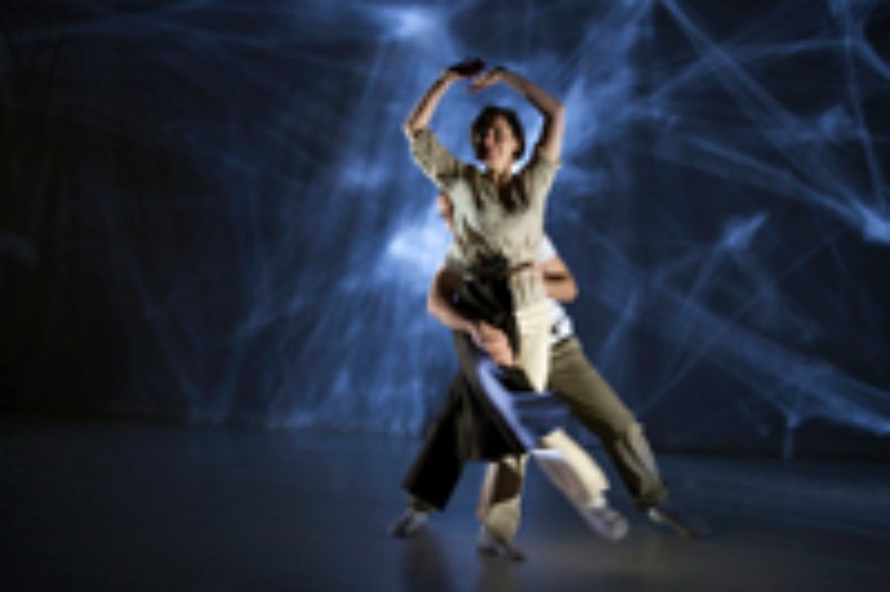 "Esta disciplina propone abordar al individuo de manera holística (en tanto sujeto múltiple) y relacionarlo con el medio en el que se desenvuelve", dice.